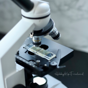 microscoop-mestonderzoek-wormonderzoek-kippen-wormen