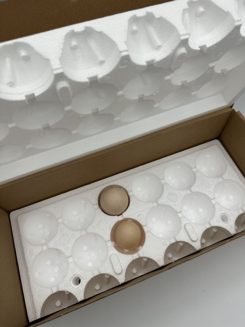 Verzenddoos broedeieren hobby kip Friesland