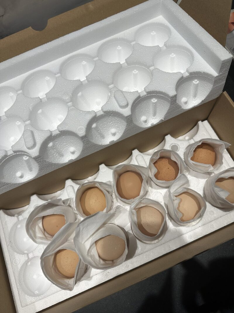 Verzenddoos broedeieren hobby kip Friesland