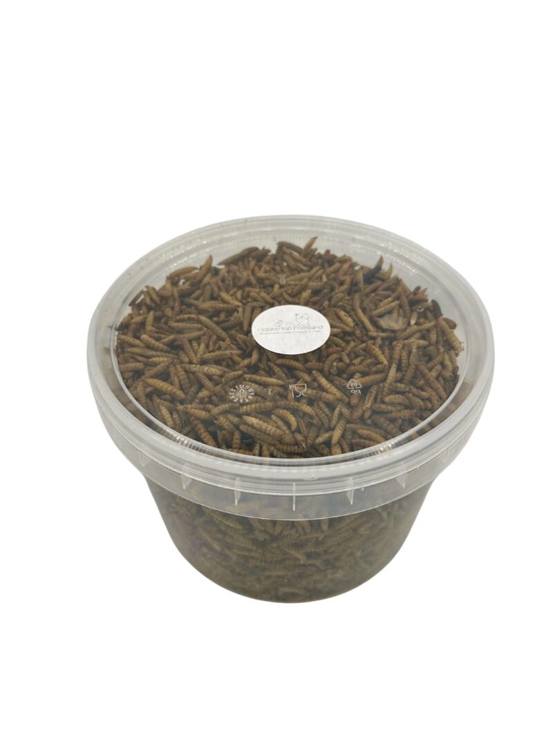 Larven 2.5 Liter - emmertje