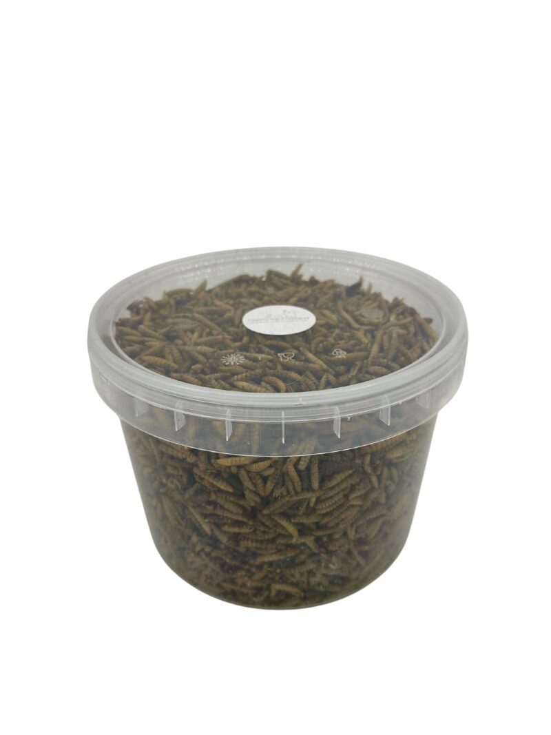 Larven 2.5 Liter - emmertje