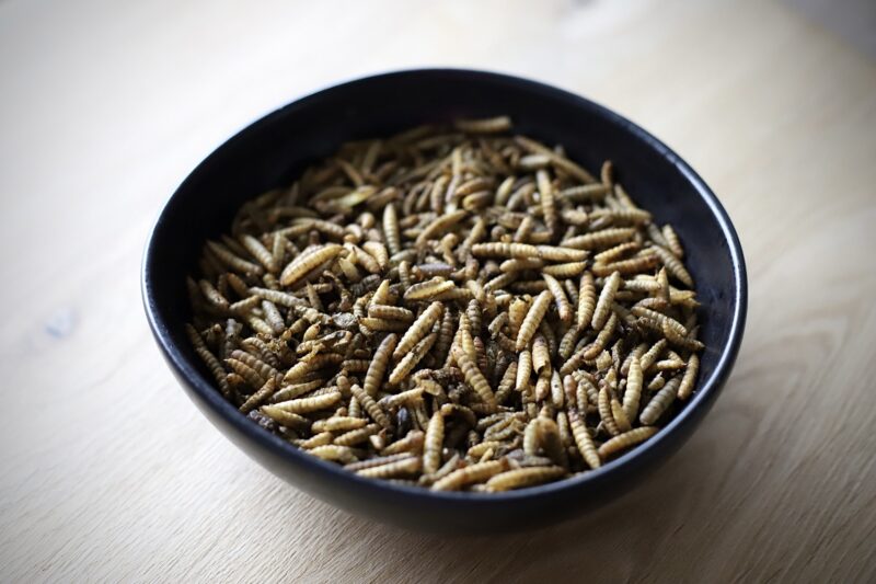 Larven 2.5 Liter - emmertje