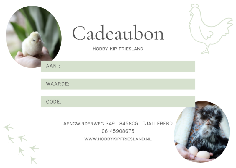 Cadeaubon Hobby Kip Friesland Cadeaubon Hobby Kip Friesland