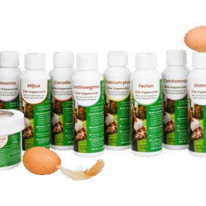 Gezondheid - hobby kip Friesland