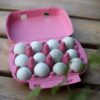 Japanse kwartel broedeieren Celadon toom 2