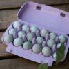 Japanse kwartel broedeieren Celadon toom 2